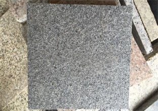 芝麻黑 芝麻黑